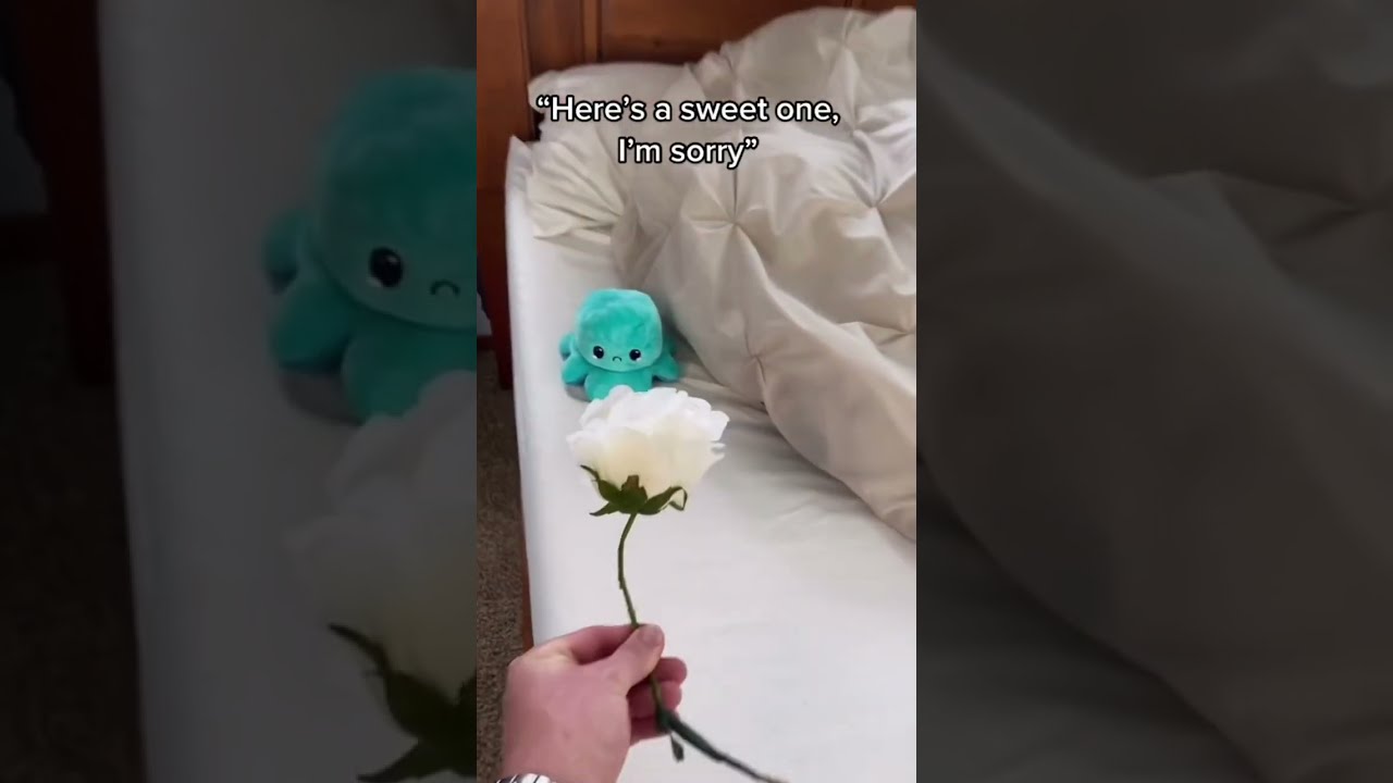 I Forgave Him RegalNoise Funny Comedy Cute Humor Love Shorts Joke Prank