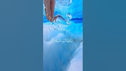 عينا فيها تسمى سلسبيلا |التلاوة الشهيرة   محمد اللحيدان💙😴 ارح قلبك