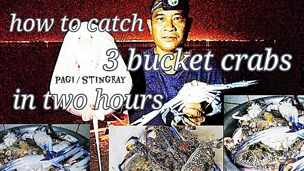 How to Catch 3 Bucket Crabs in 2 hours / crabbing, fishing /al khor