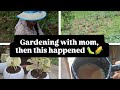 Finally found the culprit that's been eating our corn plants🌽🌱🪱gardening with mom 👩🌾☕️