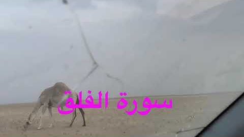 دحيم الحماد ١٤٤٤هـ سورة الفلق