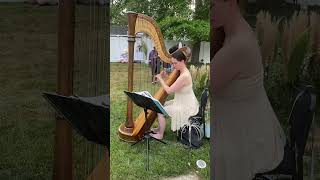 Hired a beautiful harpist for our baby shower who played all Disney classics… it was gorgeous❤️