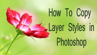 Easy way to Copy Layer Styles in Photoshop ( in Tamil ) screenshot 5