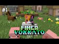 El Inicio del Viaje | FINCA VOKKATO #1