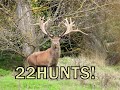 22hunts new zealand red stag hunting with bj holdsworth and amplehunting 