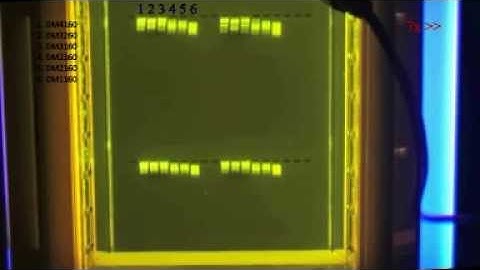 SMOBiO B-BOX™ LED epi-illuminator