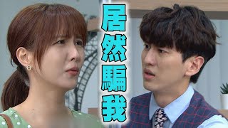 【三隻小豬的逆襲】EP66 大海說謊被抓包 得知原因曉筠感動:我不需要!