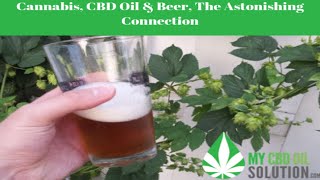 CBD Oil, Cannabis And Beer - The Astonishing Connection