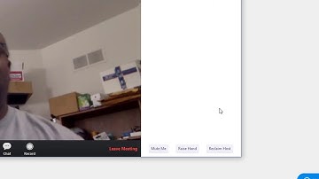 Teamwork Video Conferencing: Zoom