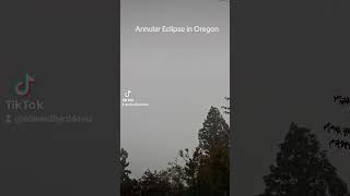 #annularsolareclipse #annulareclipse #annular #eclipse #oregon #overcast