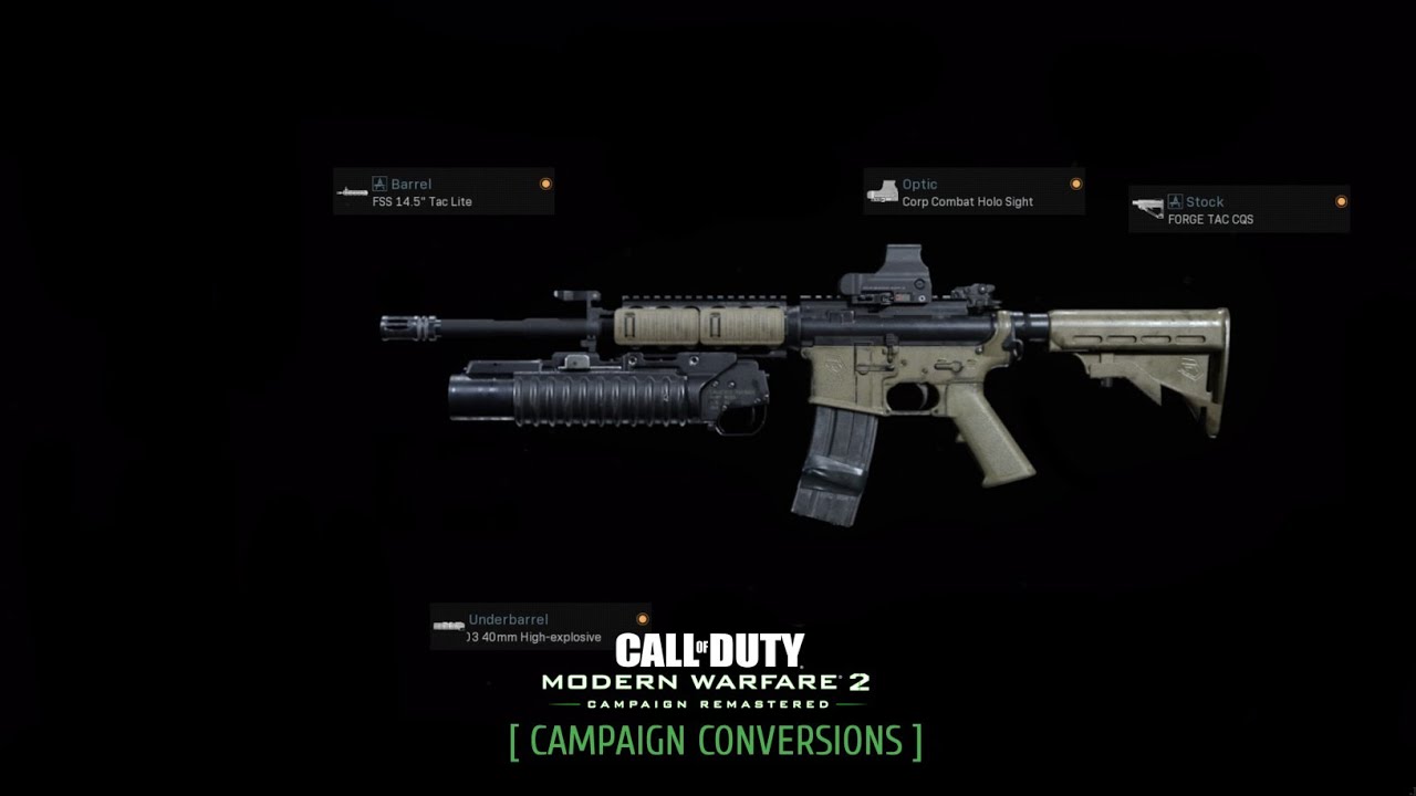 Modern Warfare - Campaign Conversions - Pvt. Allen's Standard Issue Rifle