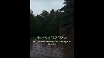 #قران_كريم #المصحف #تلاوة_خاشعة #راحة_نفسية 