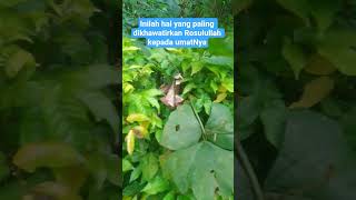 #trending #quotes #motivation