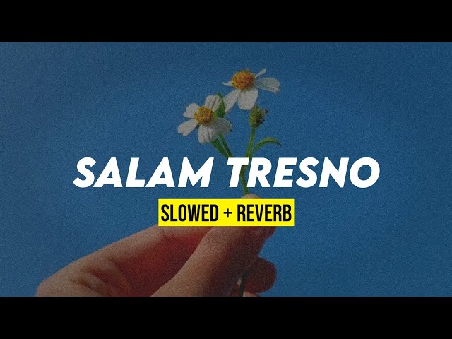 SALAM TRESNO (slowed+reverb) lagu yg pernah viral class=