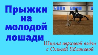 ПРЫЖКИ НА МОЛОДОЙ ЛОШАДИ
