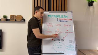 Uvod u metabolizam.