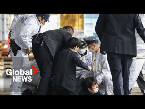 Japan pm unharmed in "smoke bomb" scare, suspect charged