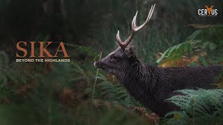 SIKA | Beyond The Highlands