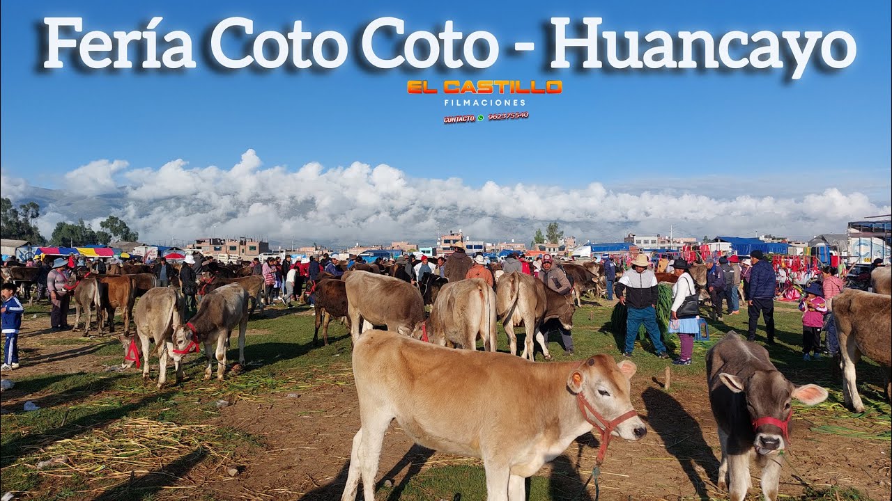 LA FERIA MAS GRANDE DEL VALLE DEL MANTARO - HUANCAYO