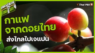 กาแฟจากดอยไทย ส่งไกลไปเจแปน : มหาอำนาจบ้านนา