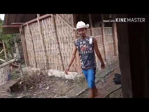 Di tonton berkali-
