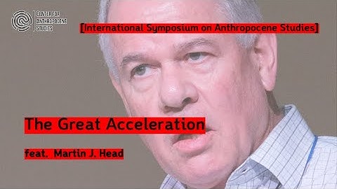 The Great Acceleration: An Idea and Its Development