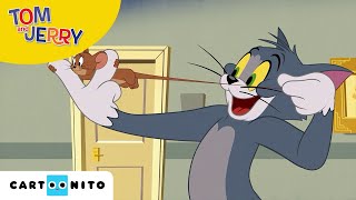 TOM VE JERRY | Tom ve Jerry Soyuldu | @CartoonitoTürkiye