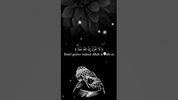 لا تحزن ان الله معنا ❤️‍🩹🤍 القارئ عبد الرحمن مسعد #اكسبلور #المصحف #قران_كريم#عبدالرحمن_مسعد#quran