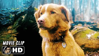 Download Lagu First Ghost Attack Scene | GOOD BOY (2025) Movie CLIP HD MP3 Download Lagu First Ghost Attack Scene | GOOD BOY (2025) Movie CLIP HD MP3