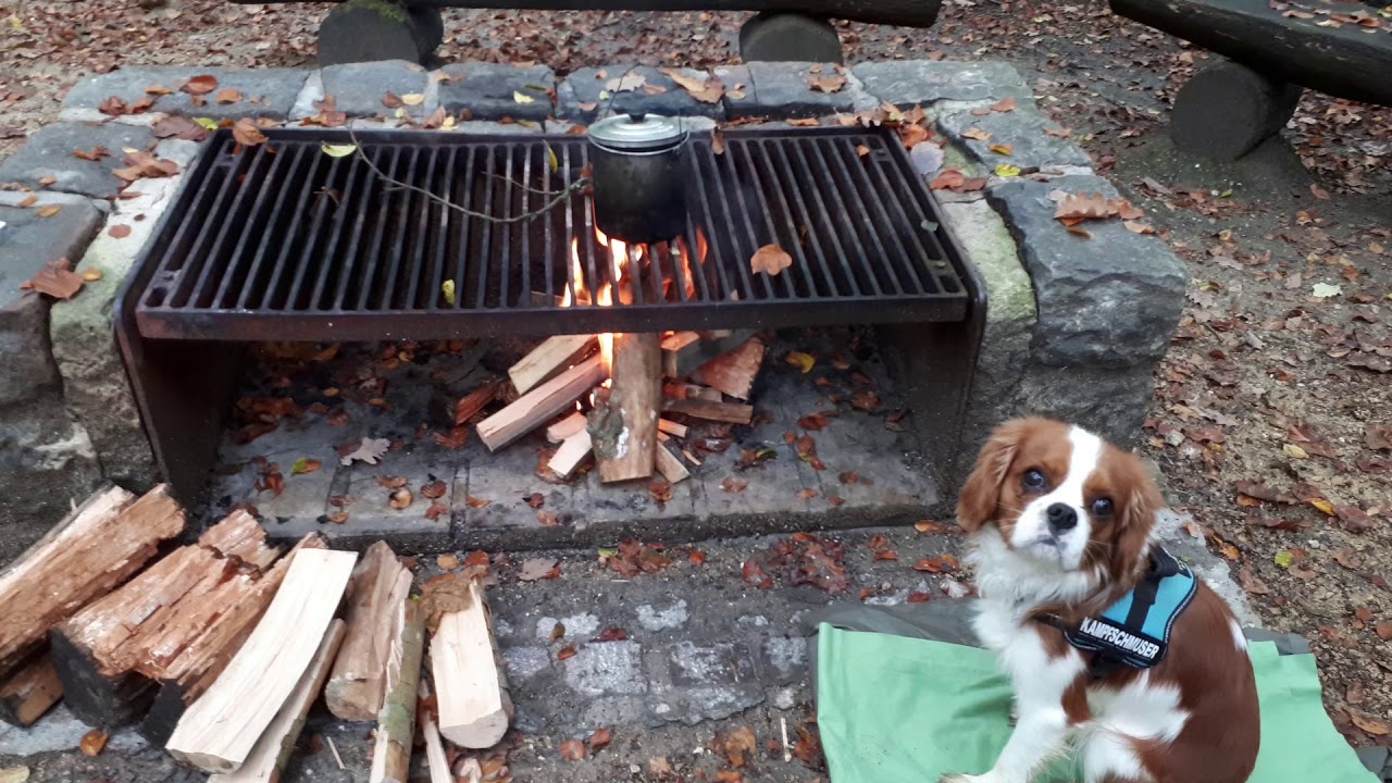 Outdoor Cooking YouTube