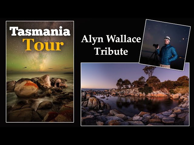 Tasmanian Tour & Tribute to Alyn Wallace class=