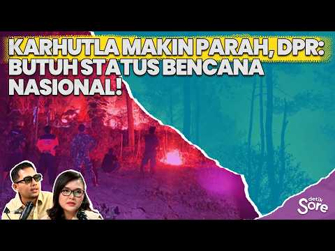 Kebakaran Hutan Makin Parah, Pemerintah Bisa Apa?