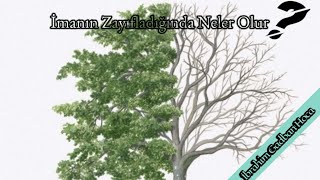 İmanın Azaldığında Neler Olur? Ibrahim Gadban Hoca