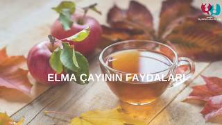 Bitki Çayları | Elma Çayının Faydaları - faydalarinelerdir.org