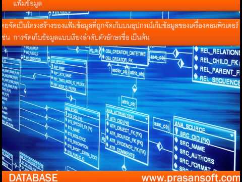 Learn Databases on Your Own: Part 1 - Familiarizing Your Data Files