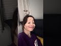子なし主婦と保護子猫の日常　#shorts