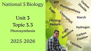 National 5 Biology: 3.3 Photosynthesis - Full Lesson