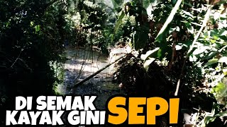 SEMENJAK SERING MIKAT BURUNG SPOT KICAUAN JADI SEPI | MALAH MERINDING