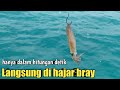 Gak di kasih nafas mancing pakai umpan ini