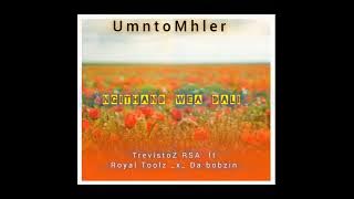 Ngithanda wea dali  ft Royal Toolz and Da Bobzin
