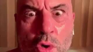 JOE ROGAN IS FORMING A CHIMP ARMY