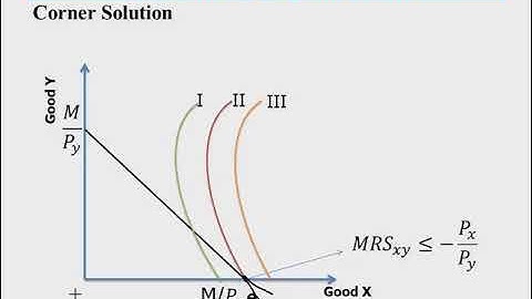 Consumer Choice theory Part 7: Consumer