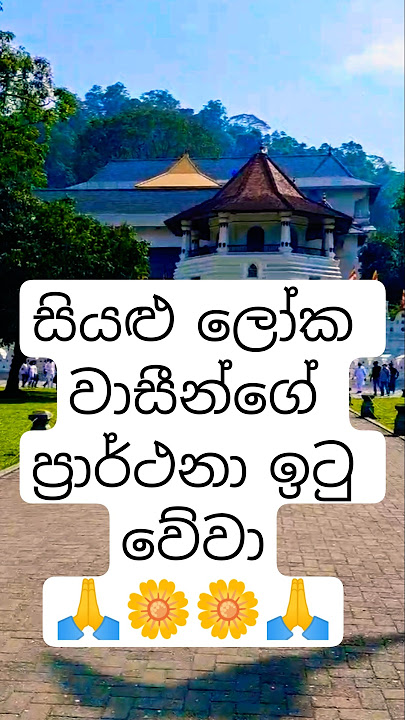 ප්‍රාර්ථනා ඉටු වේවා සාදූ සාදූ 🙏🙏#srilanka #රුවන්වැලි#buddha#budhism#kandy#ruwanweliseya#buddha