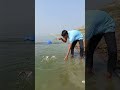 Amazing fishing idea from riverside #fishing #fishinglife