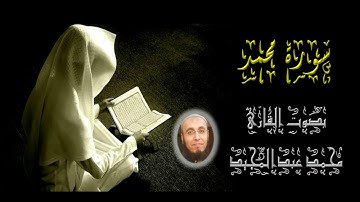 047 سورة محمد | تهجد عام 1440 | محمد عبدالمجيد
