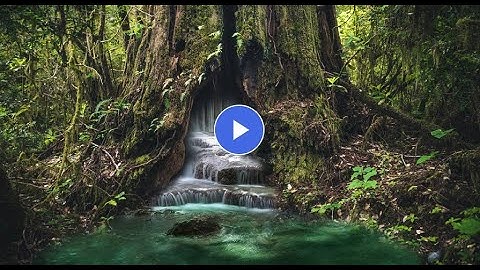 How to use layer masks to make composites of multiple images in photoshop 2022