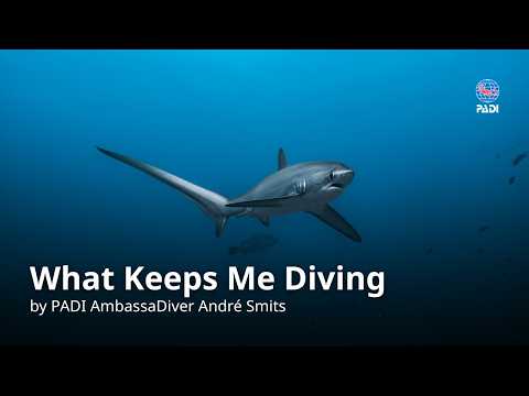 What Keeps Me Diving by André Smits