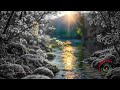 Serene River Ambience for Meditation and Comfortable Sleep