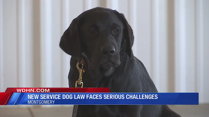Service dog law challenges