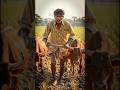 मजदूर खेत में #reels viral #reelsreels trending reel